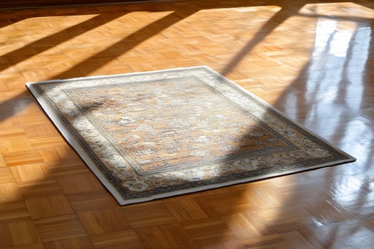 Patterned rug on parquet floor with sunlight interior home design photo