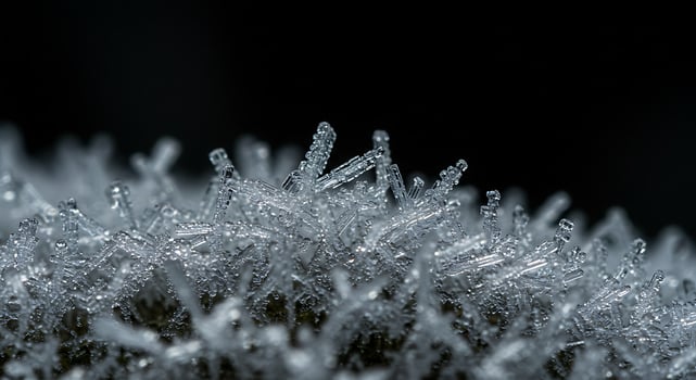 Frozen Beauty Ice Crystals Closeup. photo