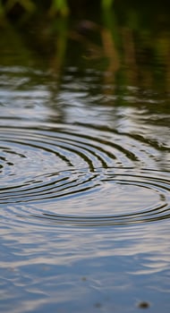 Ripples on Water Surface Detail photo