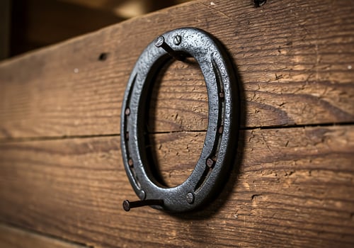 Rustic Horseshoe Wall Hook on Wood photo