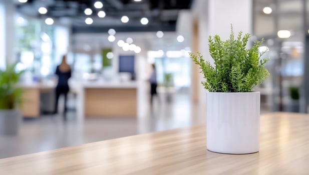 Potted plant on office table indoor workspace photo