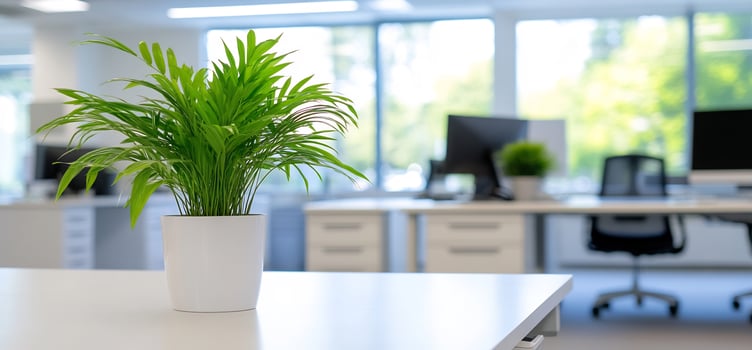 Green plant in modern office environment workspace interior photo