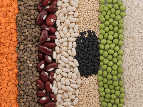 An array of diverse grains and legumes in various colors and textures arranged neatly. photo