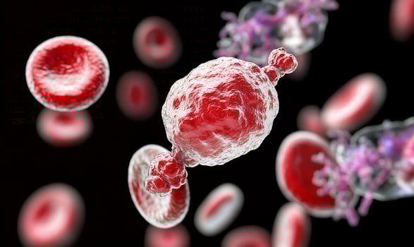Red blood cells and cluster of cells microscopic medical illustration photo