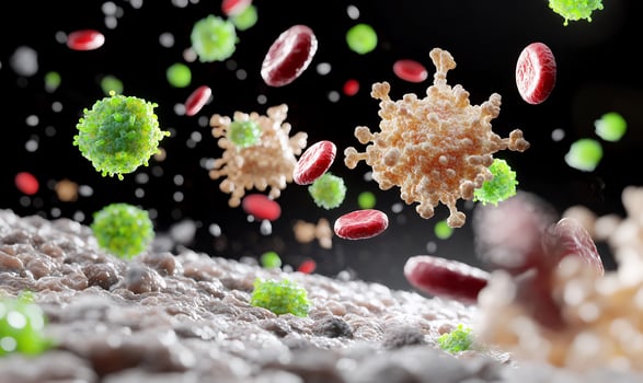 Detailed microscopic view of blood cells and viruses for scientific education photo