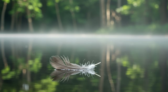 A Solitary Feather's Perfect Reflection on a Calm, Misty Lake photo