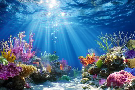 Vibrant underwater coral reef scene with sunlight photo