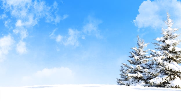 Winter landscape with snow covered fir trees and blue sky photo