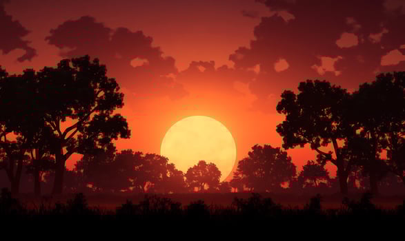 Scenic sunset landscape with tree silhouettes and a warm sky photo