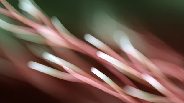 Blurred pink tendrils whisper in a dreamscape, reminiscent of abstract expressionism and the surreal serenity of Imbolc photo