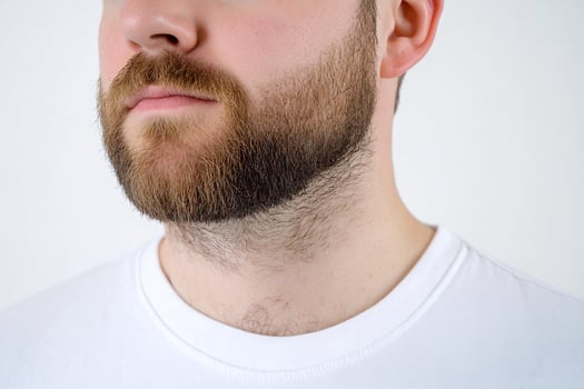 Man with well groomed beard on light background portrait photo