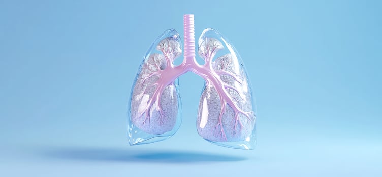 Human lung anatomy model medical illustration photo