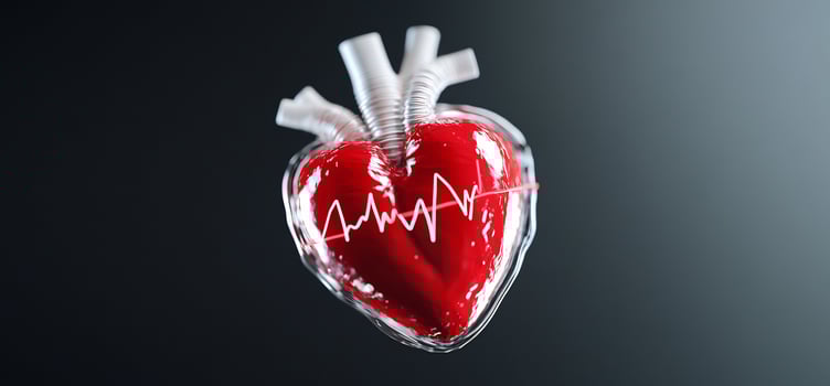Heart model in glass with heartbeat visualization anatomy and medicine photo