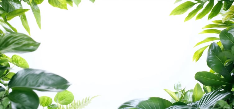 Green leaves frame on white background natural botanical design photo