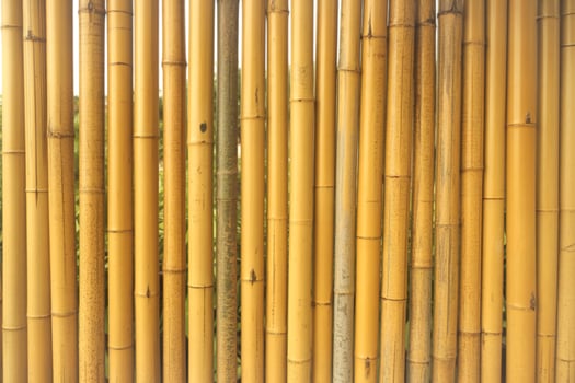 Natural yellow bamboo poles forming a textured vertical background photo