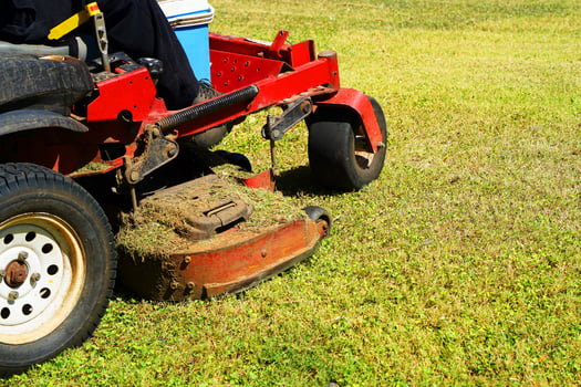 On a green field Auto Lawn Mower photo