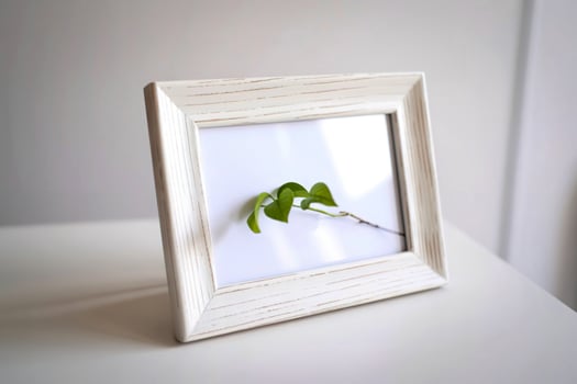 Minimalist white frame with a single green leaf displayed photo