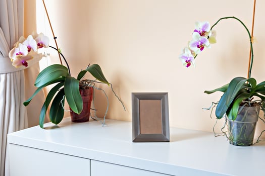 Mockup. Chest of drawers in interior. Elegant interior scene showcases two vibrant orchid plants beside blank picture frame on sleek white cabinet, creating inviting atmosphere in modern living space photo
