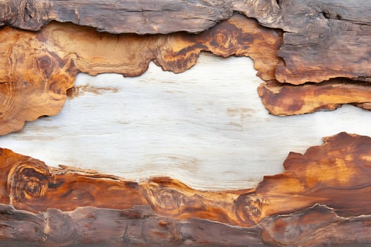 Detailed wood texture background with natural grains and patterns photo