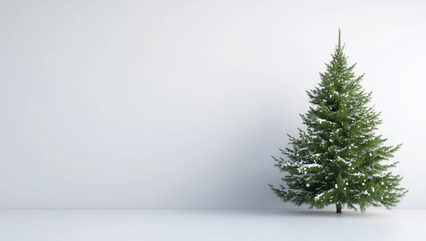 Evergreen tree against white background for festive season photo