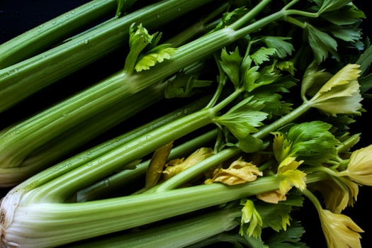 A bunch of celery on a black surface photo