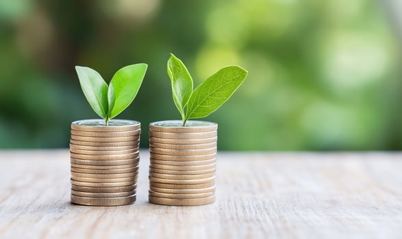 Coin stacks supporting green sprouts symbolizing financial growth and investment photo