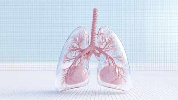 Translucent lungs anatomical illustration for medical education photo