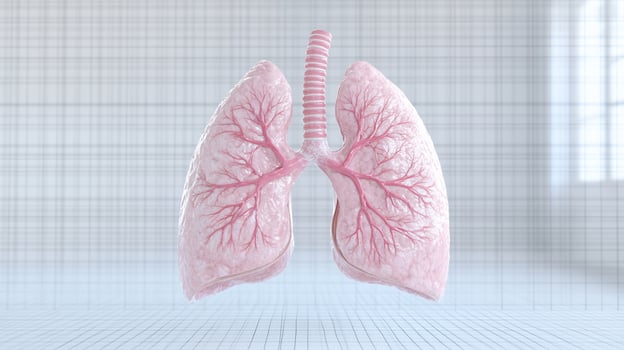 Human lung illustration detailed vascular system medical diagram photo