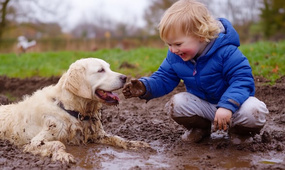 Child interact with mud covered dog having fun outdoors photo