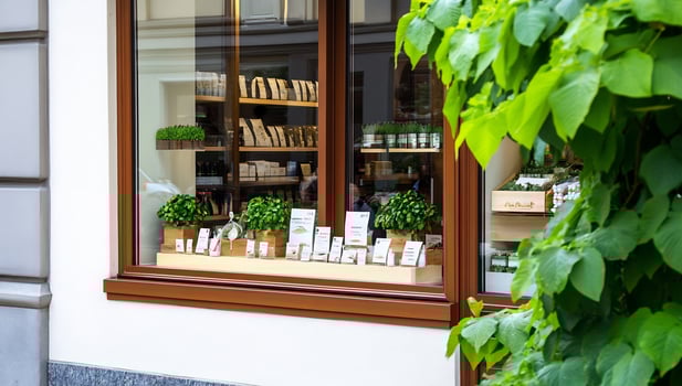Storefront window display with green plants and product presentation photo