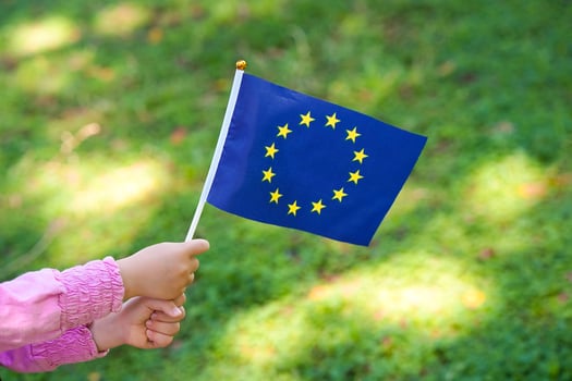 Little girl hands hold EU flag on a green park photo