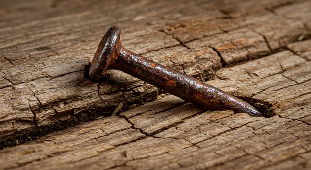 Rusty Nail in Cracked Wood. photo