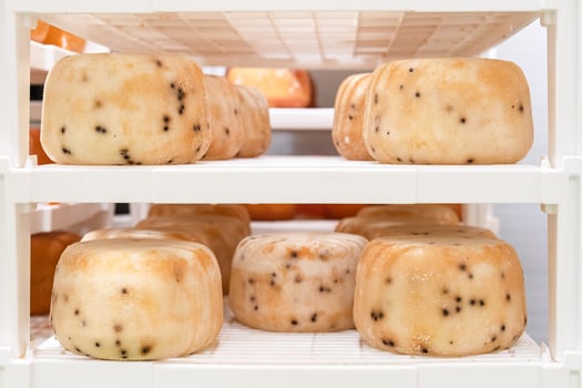 A variety of artisanal cheese wheels is arranged on rustic wooden shelves in a cozy creamery. Each cheese features unique textures and flavors, inviting customers to taste and explore. photo