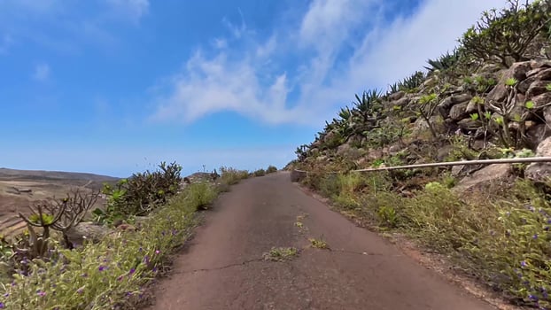 A breathtaking and stunning vista shows a beautiful winding road amidst lush greenery and gorgeous coastal views photo