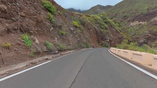 The winding mountain road, surrounded by lush vegetation and rocky cliffs, is ideal for nature lovers and adventurers photo