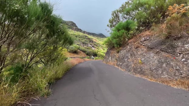 Take a journey down a stunning winding road that is beautifully surrounded by lush greenery and rocky terrain photo