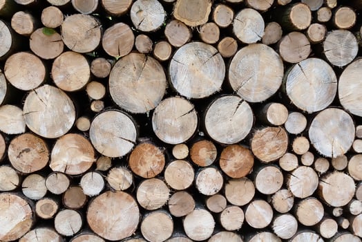 A pile of logs with a brownish color. Background photo
