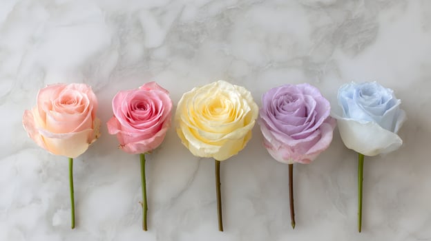 Pastel roses on a marble surface photo