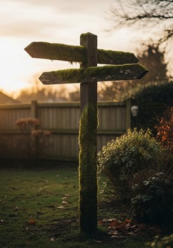 Mossy Wooden Signpost at Sunset photo