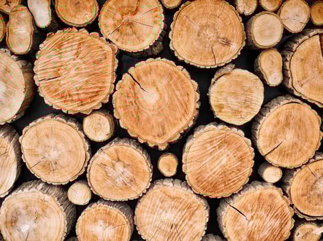 Wood logs background photo