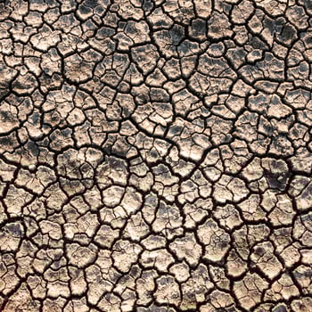 Cracked ground background photo