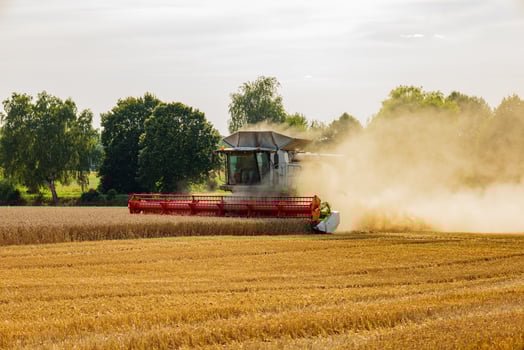 A combine harvester moves through a field of golden wheat, cutting the crop and generating dust during a summer day photo