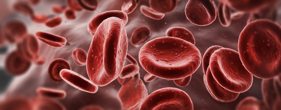 Detailed close-up of red blood cells in motion, showcasing their unique disc shape and texture. photo