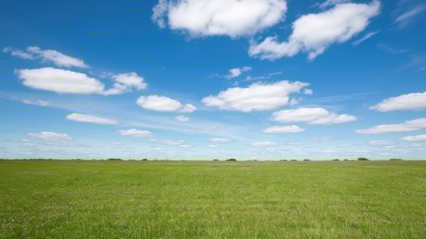 Lush green field under a bright blue sky with fluffy white clouds. photo