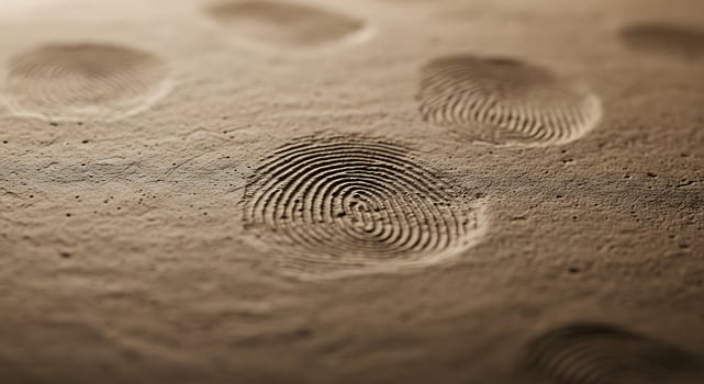 Fingerprints on the ground photo