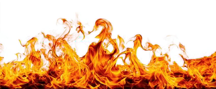 The Flames Dancing Against a White Background in a Vibrant Display photo