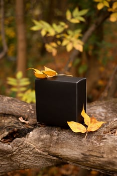 box with autumn leaves on a tree in the forest photo