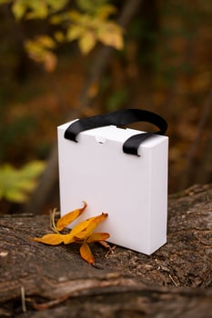 White box with black handle and autumn leaves on the tree photo