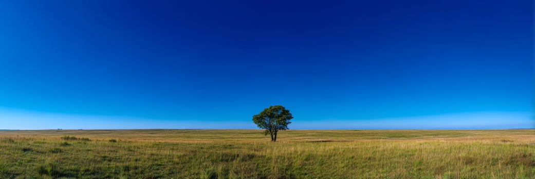 Serene Landscape with Lone Tree Against Clear Blue Sky in Expansive Green Field Under Bright Sunshine photo