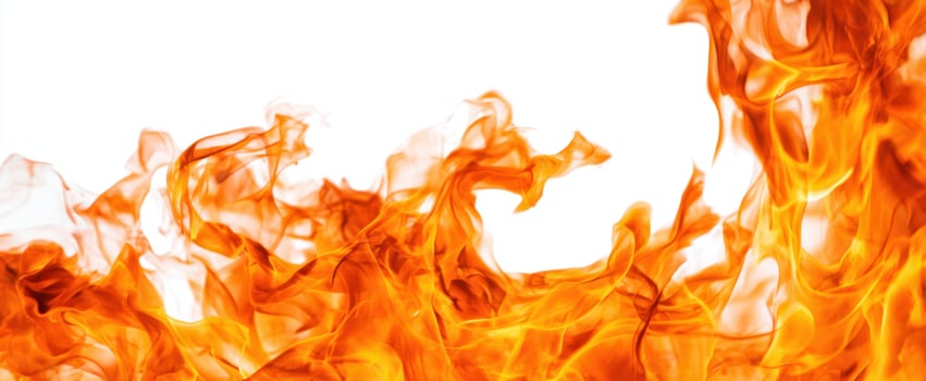 The Dynamic Flames Dancing Against a Bright White Background photo